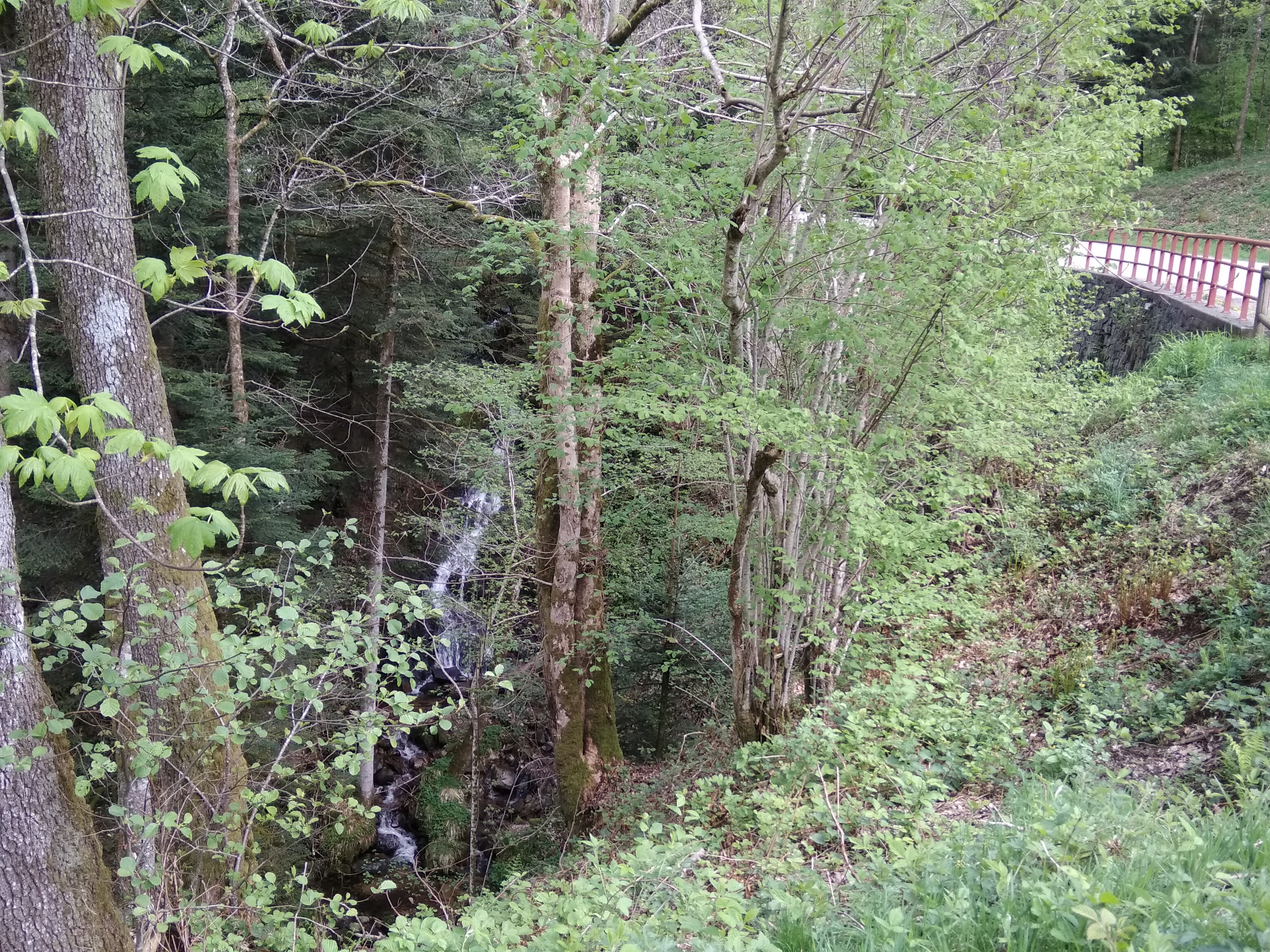 Photo n° 20 de l'avis de Vanessa.. fait le 26/04/2018 à 20:21