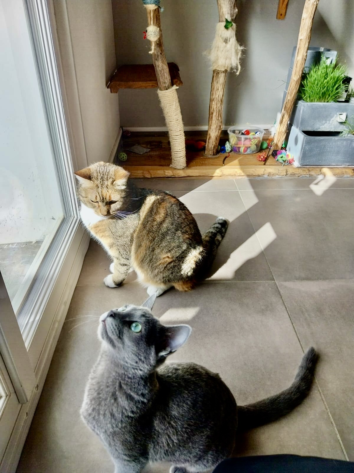 Photo n° 2 de l'avis de Laura.a fait le 26/03/2024 à 06:20