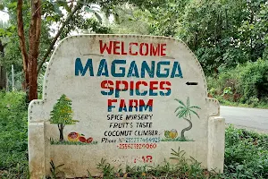 Maganga Spice Farms image
