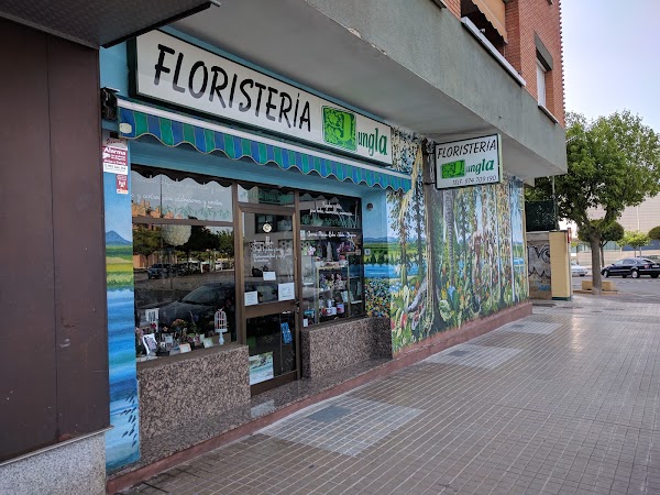 Floristería Jungla