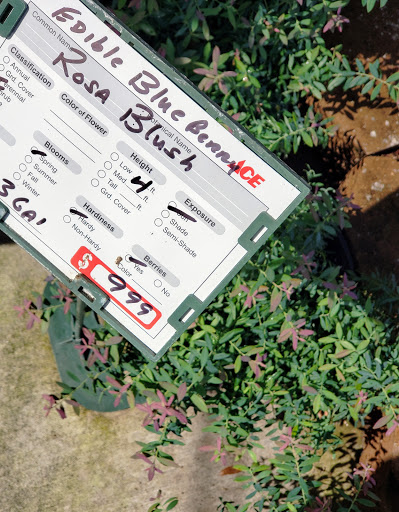 Hardware Store «Vision Ace Hardware», reviews and photos, 8538 Gunn Hwy #10, Odessa, FL 33556, USA