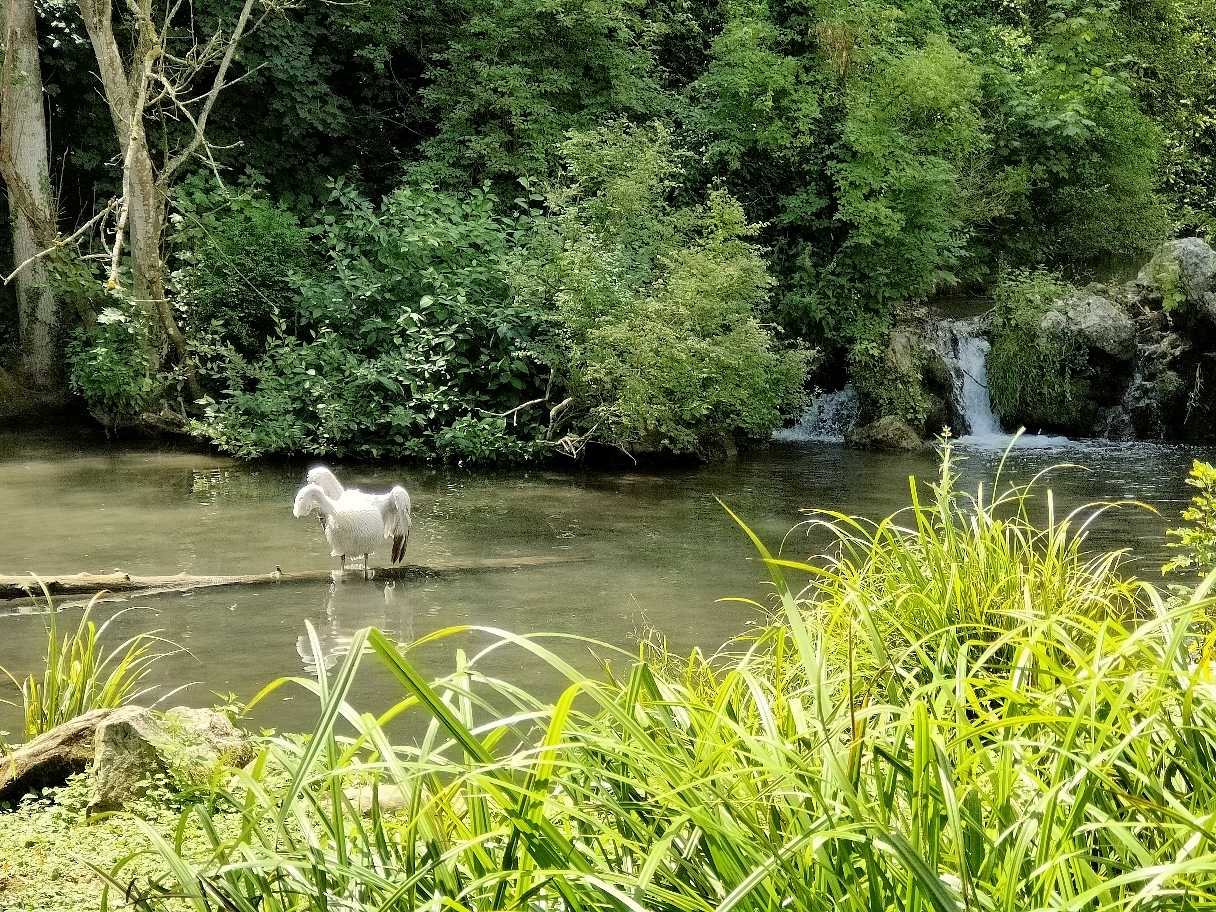 Photo n° 10 de l'avis de Claude.a fait le 03/08/2023 à 20:56