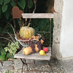 Photo n° 46 de l'avis de K. fait le 03/01/2022 à 15:58 pour Ambiance-Jardin à Diebolsheim