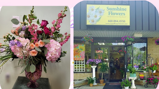 Florist «Sunshine Flowers», reviews and photos, 6230 Stumph Rd, Parma Heights, OH 44130, USA