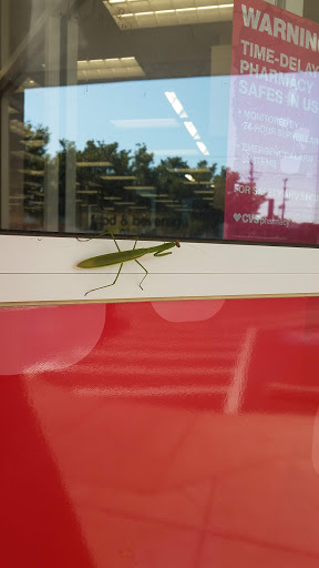 Grocery Store «Sniders Super Market», reviews and photos, 1936 Seminary Rd, Silver Spring, MD 20910, USA