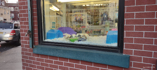 Tropical Fish Store «Ironbound Pet Shop», reviews and photos, 246 Ferry St # 5, Newark, NJ 07105, USA