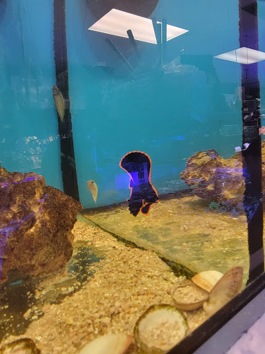 Pet Supply Store «Professional Fish Keepers Aquarium Store», reviews and photos, 7573 W Sample Rd, Coral Springs, FL 33065, USA