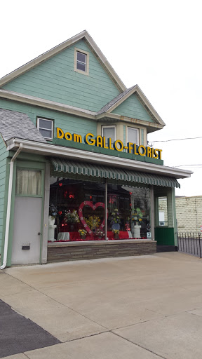 Florist «Dom Gallo Florist», reviews and photos, 2241 Broadway, Schenectady, NY 12306, USA