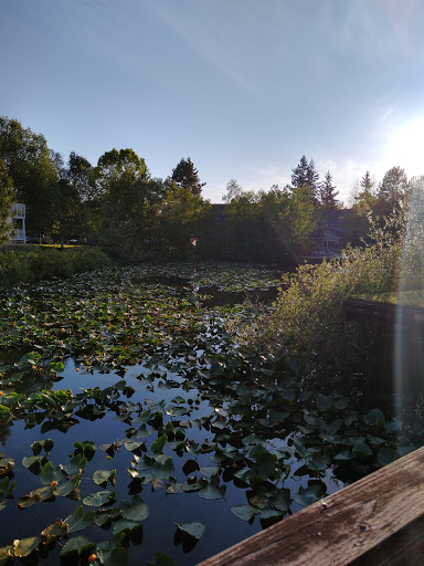 Golf Club «Harbour Pointe Golf Club», reviews and photos, 11817 Harbour Pointe Blvd, Mukilteo, WA 98275, USA