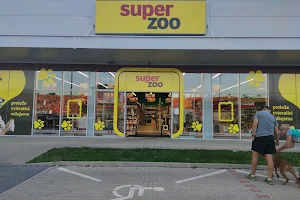 Super zoo image