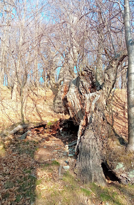 Paysage Appartamento per vacanza in affitto La Taverna Holiday House 12078 Ormea