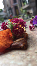 Photo n°130 de Bloempot à Lille ()