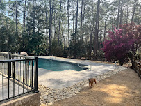 Chapman - Wilson Pools, Spas & Home Improvements, Inc. - Photo 8 - Car repair in Fayetteville, NC, Fayetteville