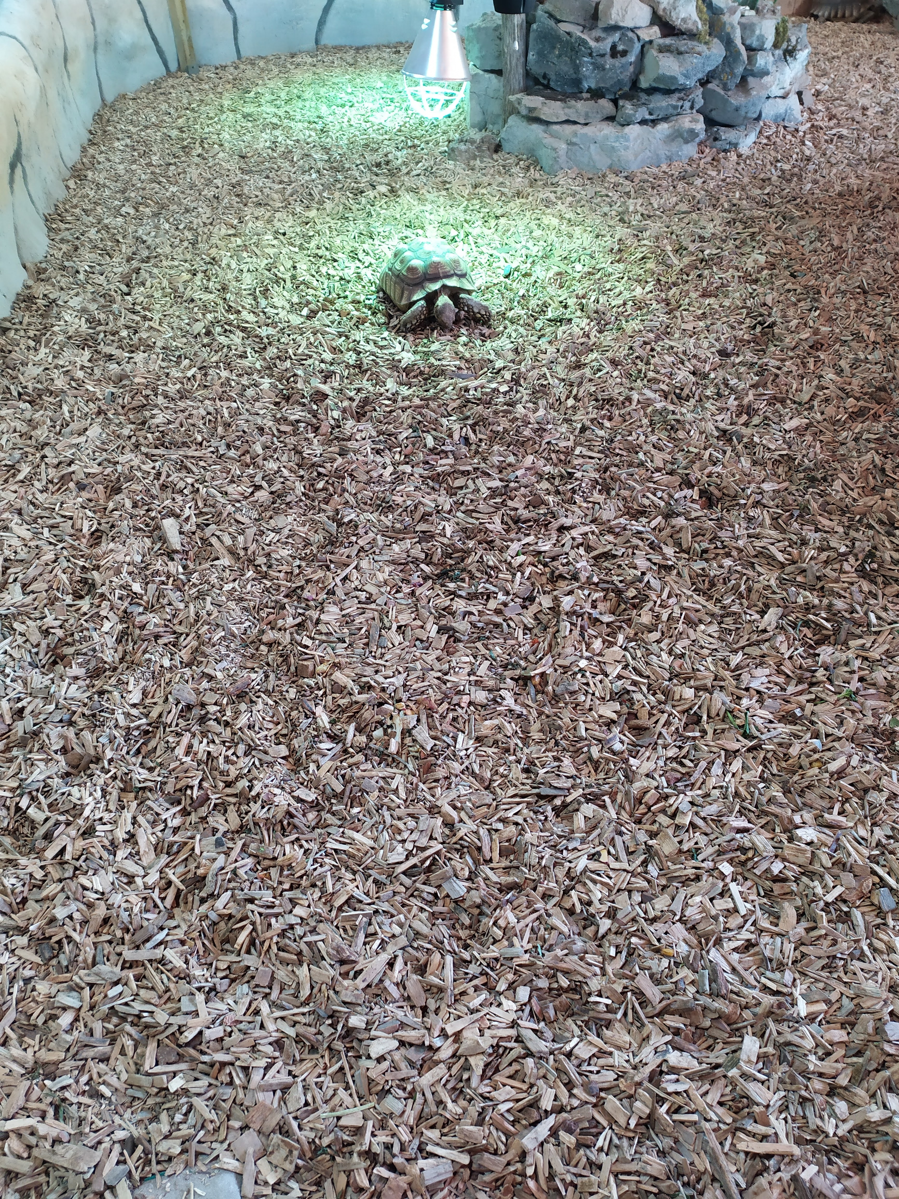 Photo n° 2 de l'avis de Hélodie. fait le 25/08/2020 à 06:29