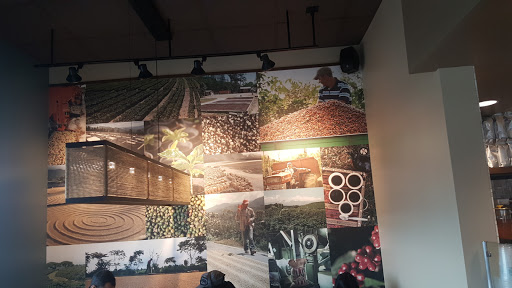 Coffee Shop «Starbucks», reviews and photos, 4294 Lawrenceville Hwy, Tucker, GA 30084, USA