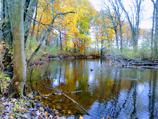 Mill «Sharon Mills County Park», reviews and photos, 5701 Sharon Hollow Rd, Manchester, MI 48158, USA