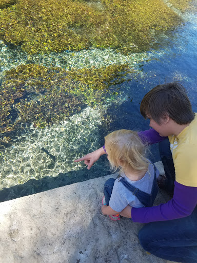 Public Golf Course «Landa Park Golf Course at Comal Springs», reviews and photos, 180 Golf Course Rd, New Braunfels, TX 78130, USA