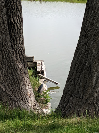 Golf Course «Greenway Park Golf Course», reviews and photos, 110 Greenway Dr, Broomfield, CO 80020, USA