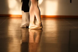 School of the Bolshoi Theater in Brazil image