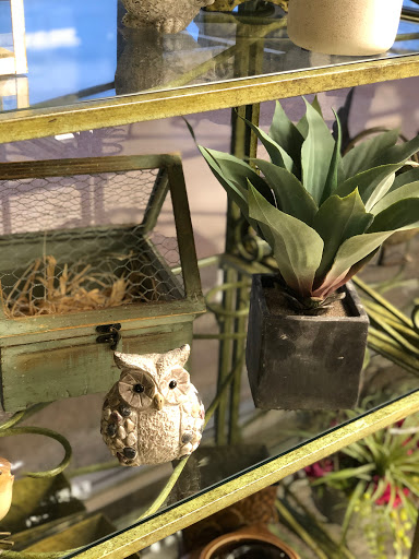 Florist «Petals To Go», reviews and photos, 1515 N Walnut Ave, New Braunfels, TX 78130, USA