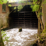 Photo n°5 de l'avis de Frank.e fait le 24/09/2021 à 15:31 sur le  Hotel Brauhaus Wiesenmühle à Fulda