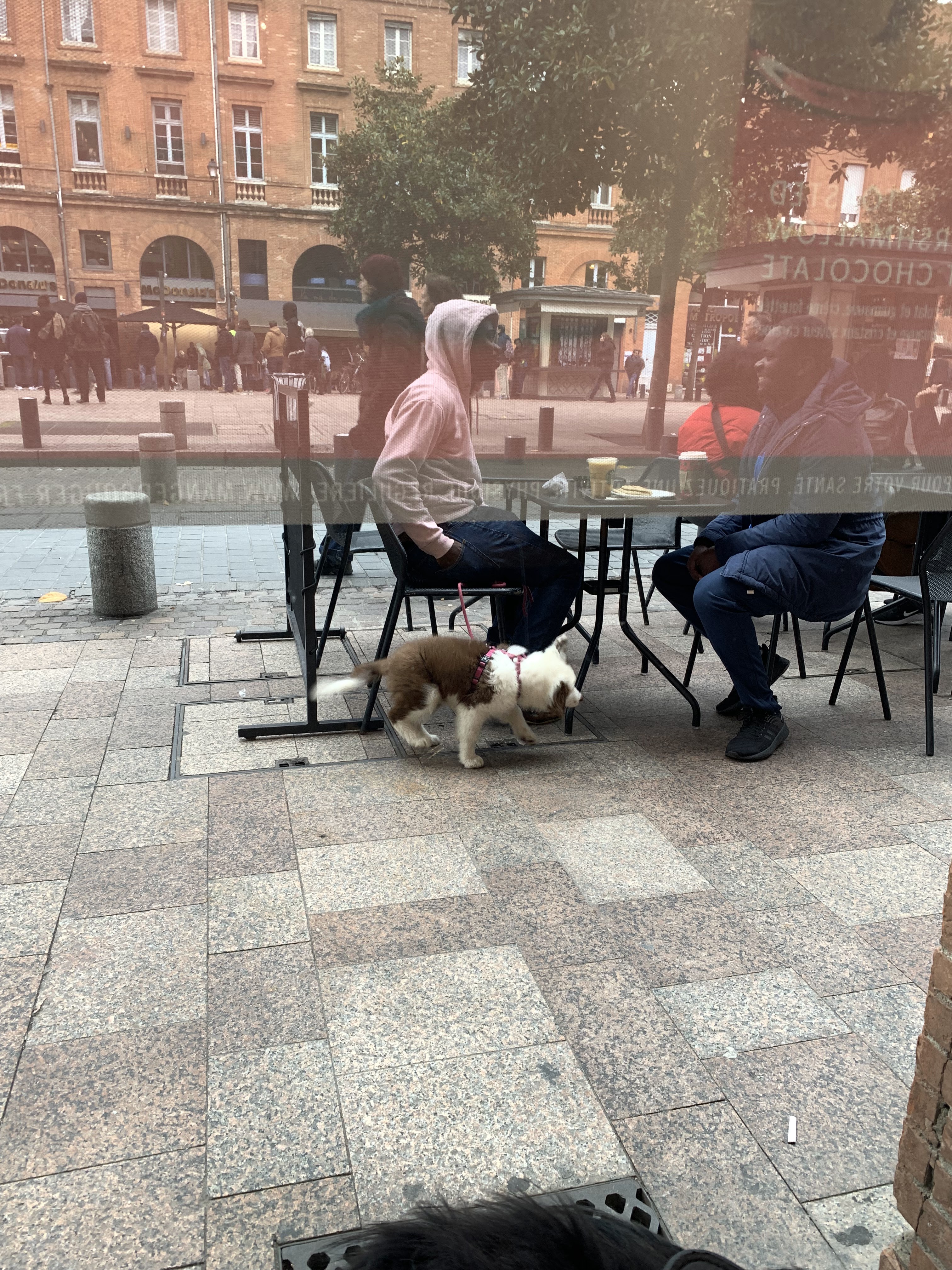 Photo n° 12 de l'avis de Liliane.l fait le 17/11/2019 à 13:29