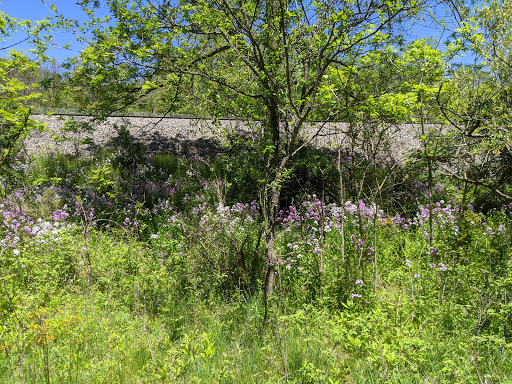Nature Preserve «Burns-Stokes Preserve», reviews and photos, Zeeb Rd, Dexter, MI 48130, USA