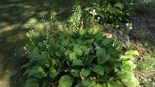 Country Club «Woodland Country Club», reviews and photos, 100 Woodland Ln, Carmel, IN 46032, USA