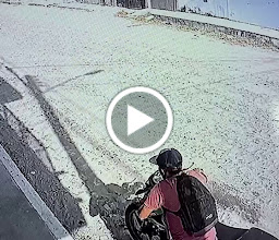 Parque Del Koa photo