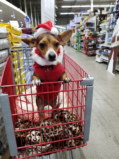 Pet Supply Store «Pet Club Santa Rosa», reviews and photos, 1935 Santa Rosa Ave, Santa Rosa, CA 95407, USA