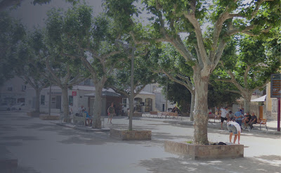 Agence Immobilière La Crau | Agent PACA IMMOBILIER à La Crau