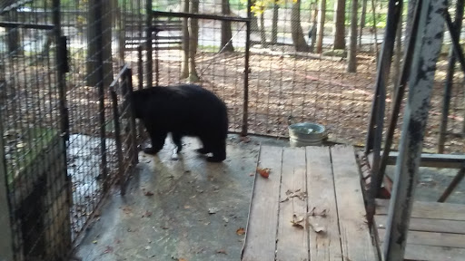 Auto Parts Store «Advance Auto Parts», reviews and photos, 5800 Buford Hwy NE, Doraville, GA 30340, USA