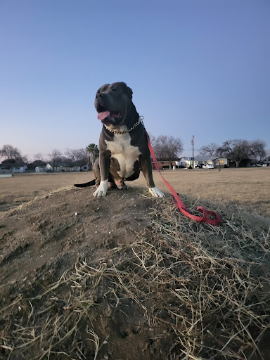 Park «Arnold Park», reviews and photos, 1011 Gillette Blvd, San Antonio, TX 78224, USA