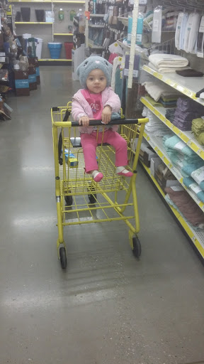 Discount Store «Dollar General», reviews and photos, 2320 Brandenburg Road, Brandenburg, KY 40108, USA