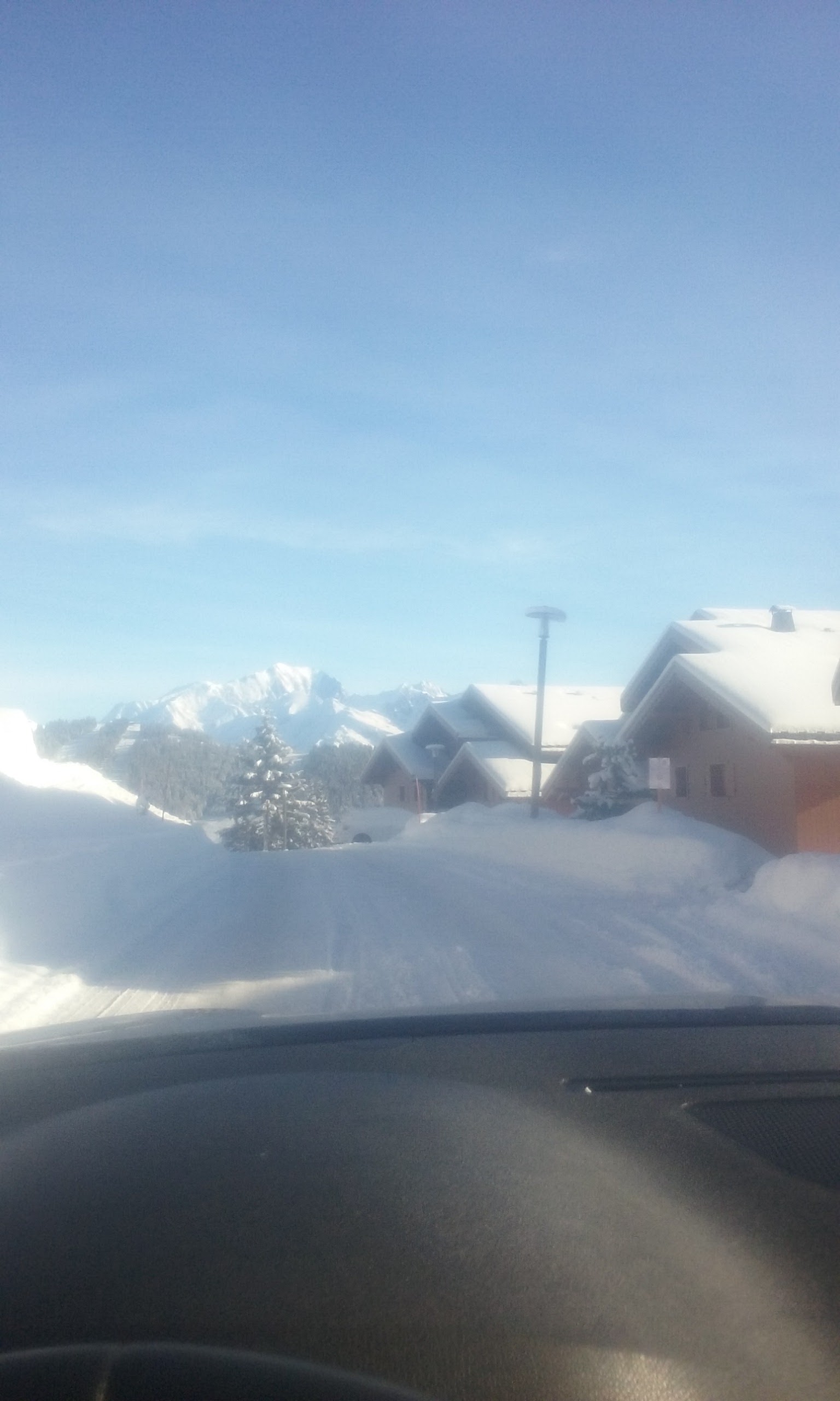 Photo n° 3 de l'avis de garnier.e fait le 03/04/2019 à 17:03
