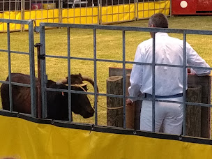 Photo n°5 de Terrain de Rugby d'Ondres à Ondres ()