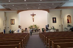 Cathedral of the Immaculate Heart of Mary image