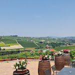 Photo n°1 de l'avis de Alberto.a fait le 19/06/2023 à 05:43 sur le  Locanda in Cannubi à Barolo