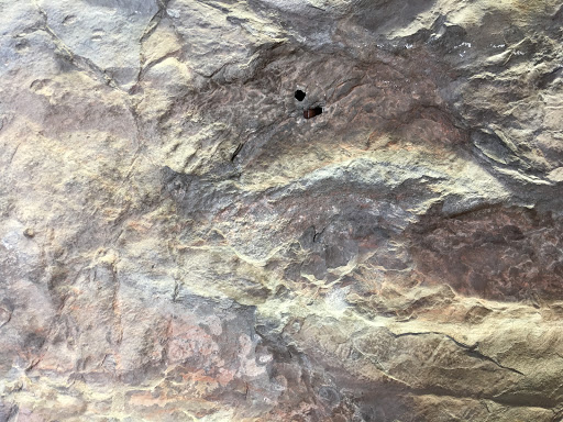 Museum «Beneski Museum of Natural History», reviews and photos, 11 Barrett Hill Rd, Amherst, MA 01002, USA