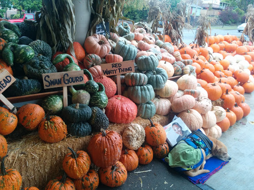 Gourmet Grocery Store «Metropolitan Market Magnolia», reviews and photos, 3830 34th Ave W, Seattle, WA 98199, USA