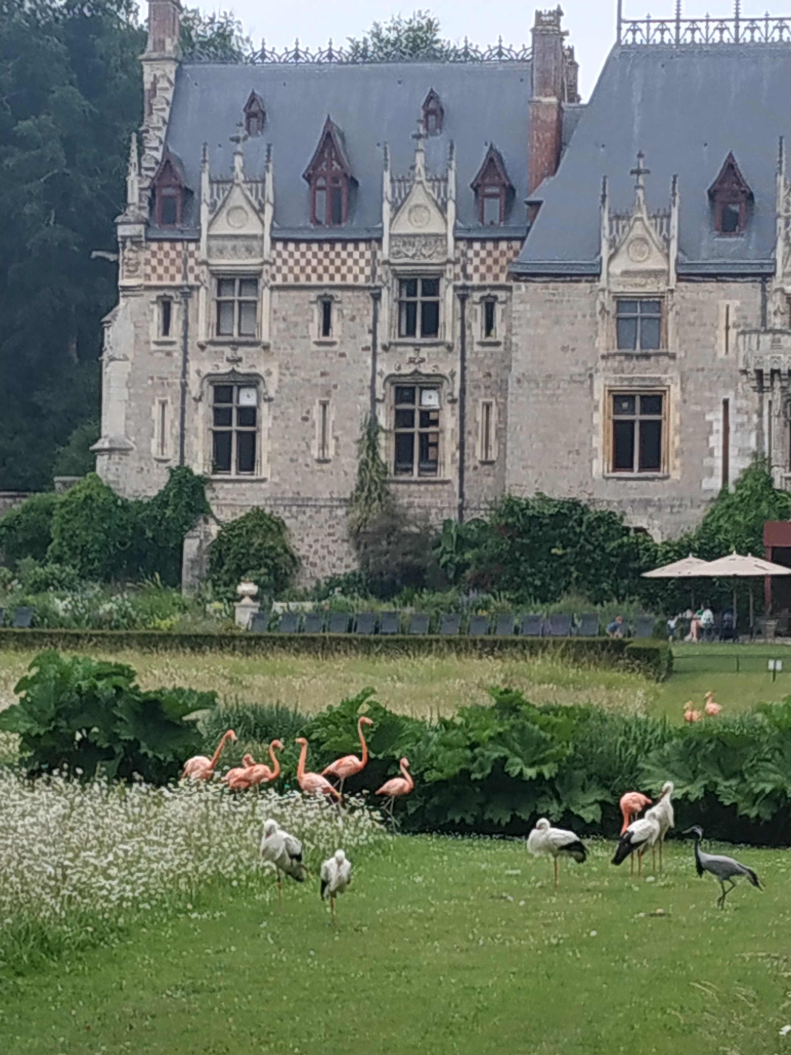 Photo n° 20 de l'avis de marie.l fait le 13/06/2023 à 20:22