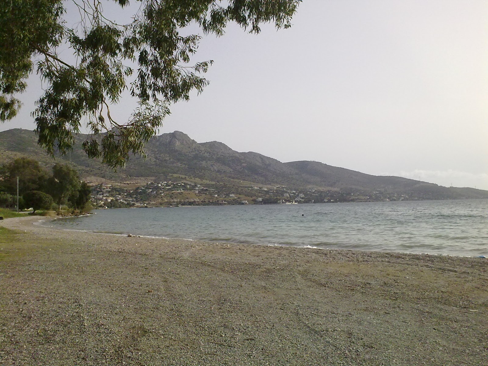 Riviera beach'in fotoğrafı ve yerleşim