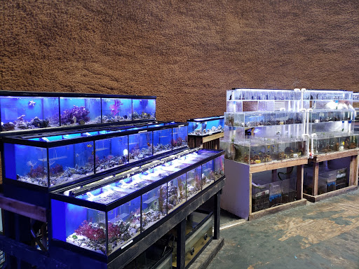 Tropical Fish Store «Austin Aqua-Dome», reviews and photos, 1604 Fortview Rd, Austin, TX 78704, USA