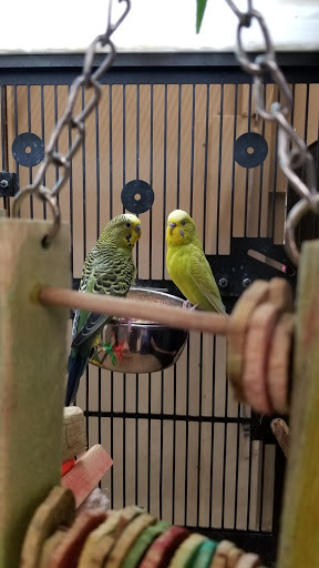 Pet Supply Store «PetSmart», reviews and photos, 2800 TX-121, Euless, TX 76039, USA