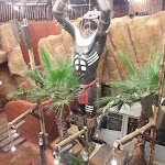 Photo n°1 de l'avis de Daniele.i fait le 31/07/2020 à 08:20 sur le  Safari Giro Pizza à Lazise