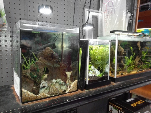 Pet Supply Store «Tropical World Pets», reviews and photos, 8444 Watson Rd, Webster Groves, MO 63119, USA