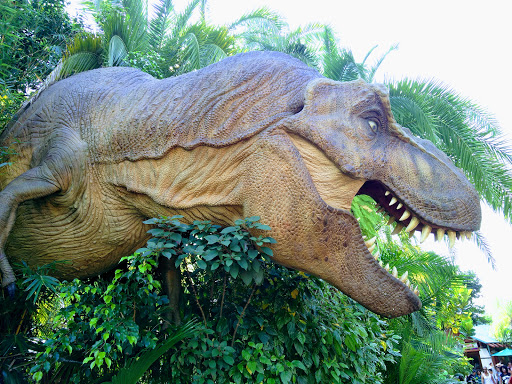 Roller Coaster «Dragon Challenge», reviews and photos, 6000 Universal Blvd, Orlando, FL 32819, USA