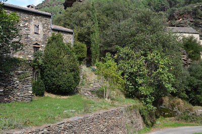 Mandajors à Saint-Paul-la-Coste