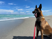 Pet Care for the Palm Beaches - Photo 2 - Car repair in , West Palm Beach