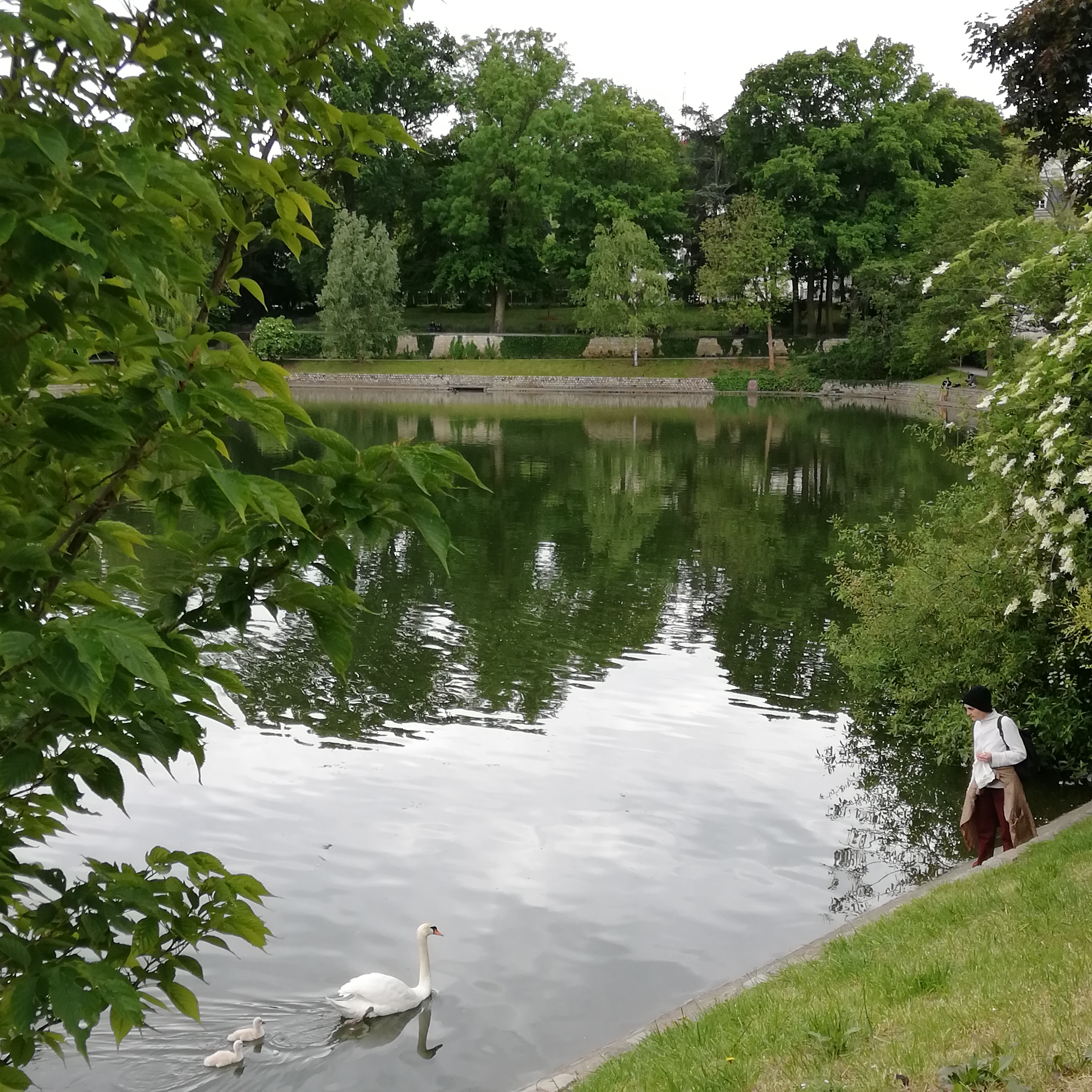 Photo n° 2 de l'avis de Patatraac.k fait le 19/05/2019 à 13:36